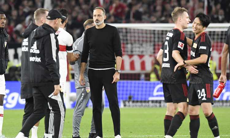 Hoffenheim, UFFICIALE: torna Pellegrino Matarazzo Hoffenheim, UFFICIALE: torna Pellegrino Matarazzo