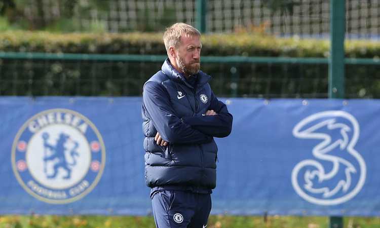 Chelsea ecco 
