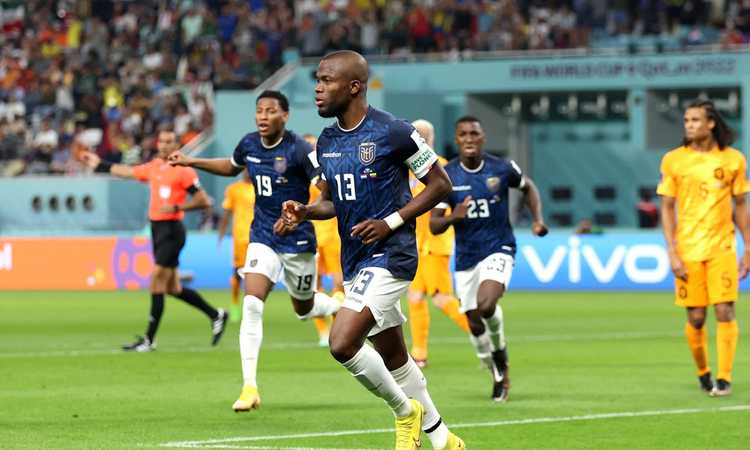 La sentenza Valencia riprende Gakpo: 1-1 tra Olanda ed Ecuador, basta un punto per gli ottavi. Qatar eliminato