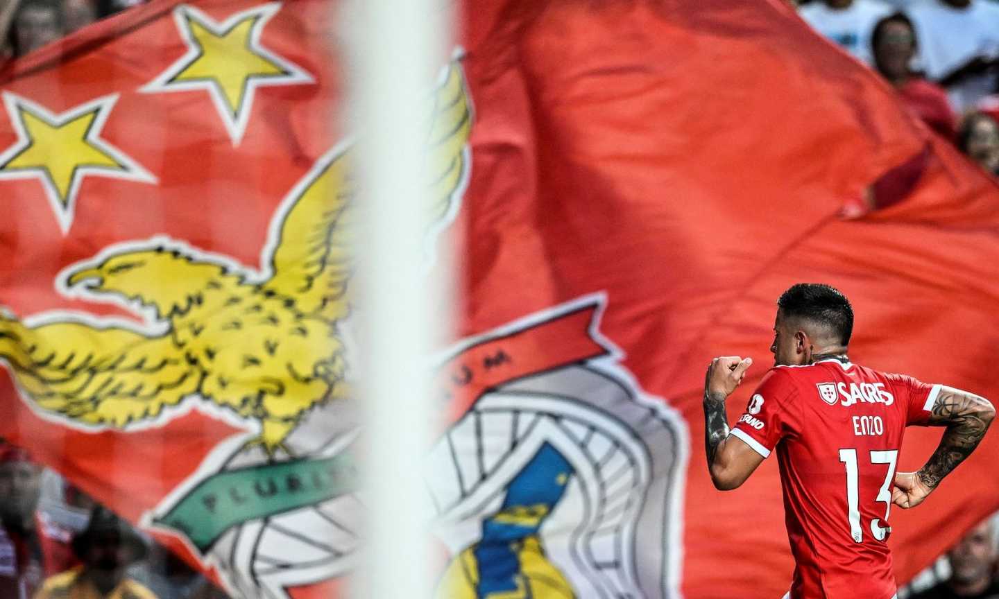 Benfica, Schmidt: 'Enzo Fernandez? Se pagano la clausola e vuole andarsene...'