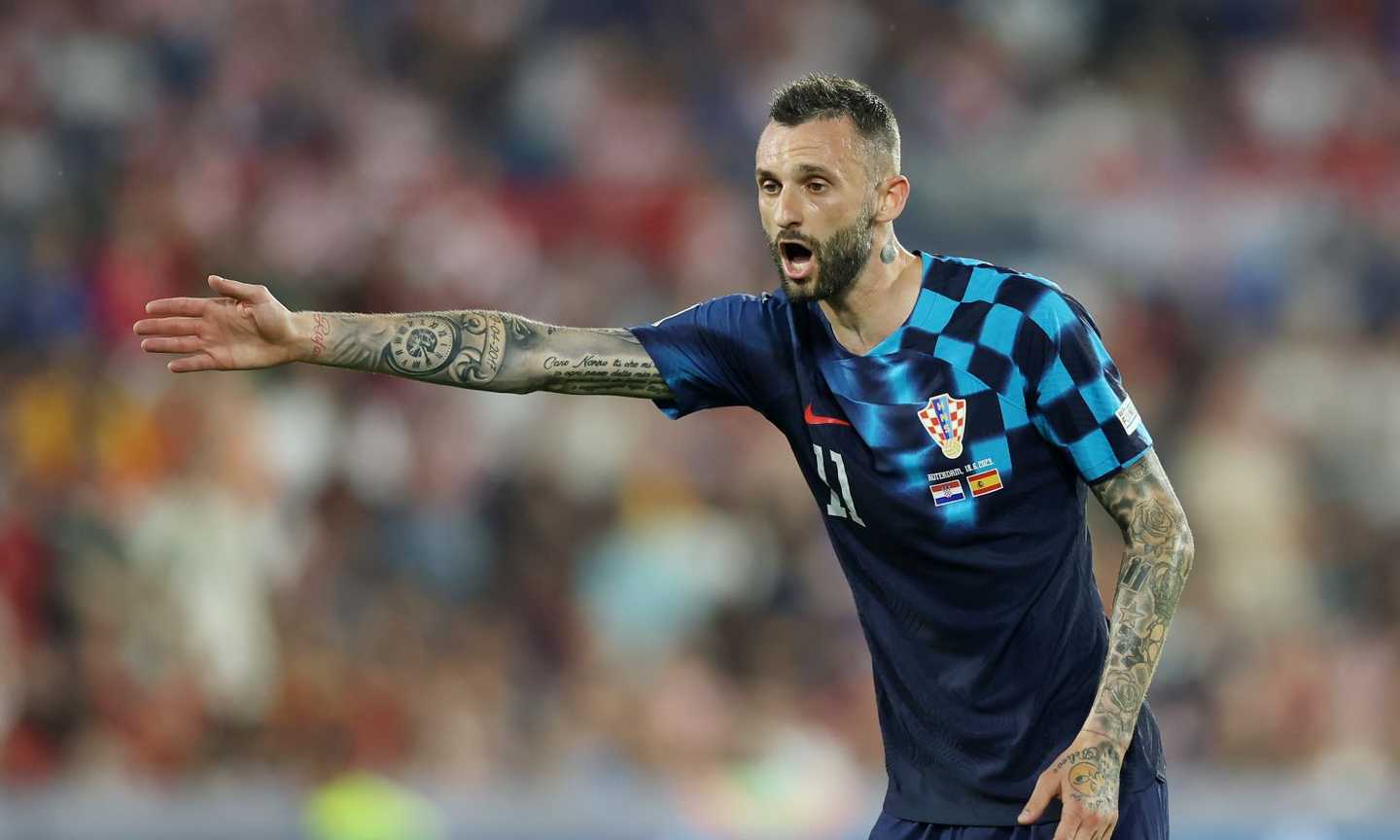 MARCELO BROZOVIC Image gallery