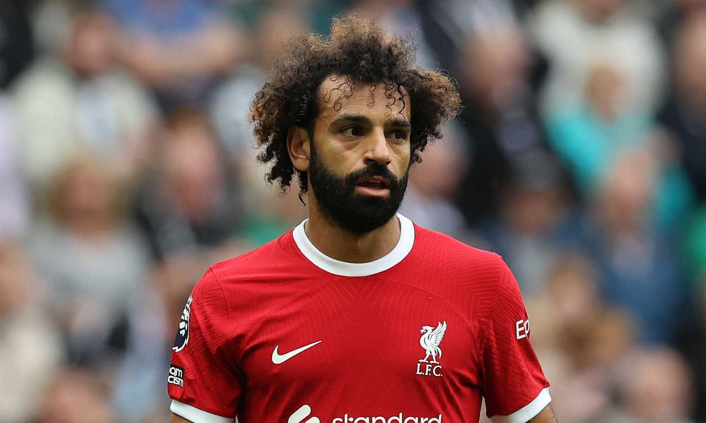 MOHAMED SALAH (Liverpool) Image gallery