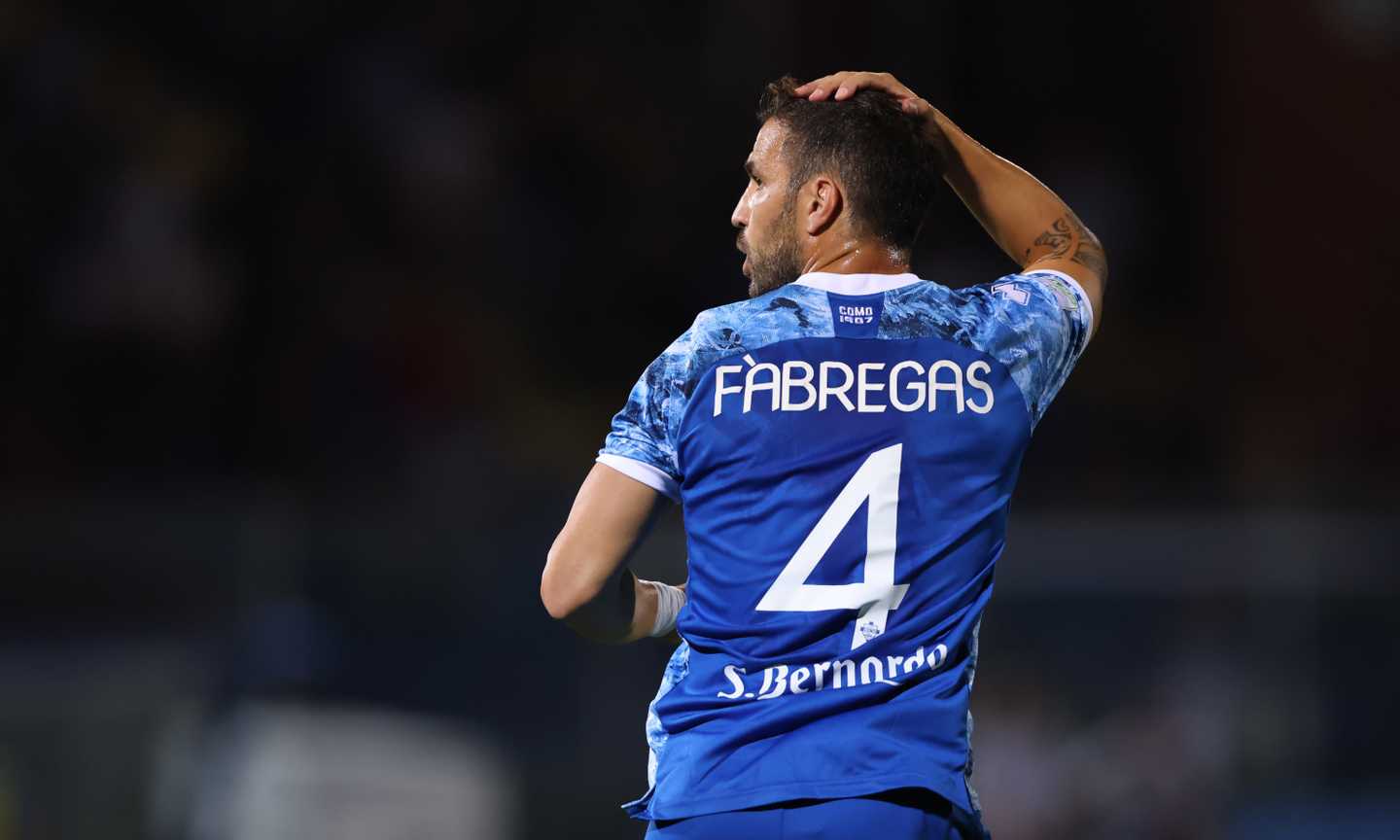 Cesc Fabregas Image gallery