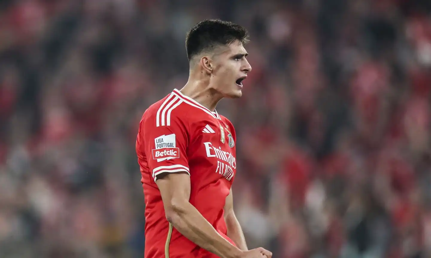 Juventus, Giuntoli: "Antonio Silva ci interessa, ma non è ⁢l'unico.⁤ Danilo-Napoli? Dietro siamo corti"