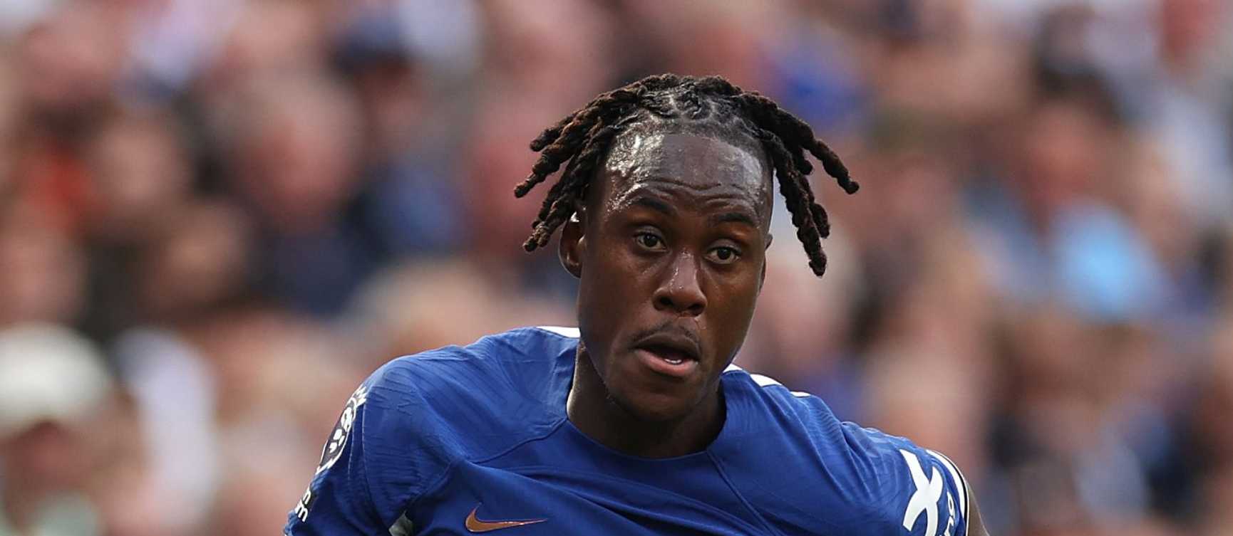 TREVOH CHALOBAH Image gallery