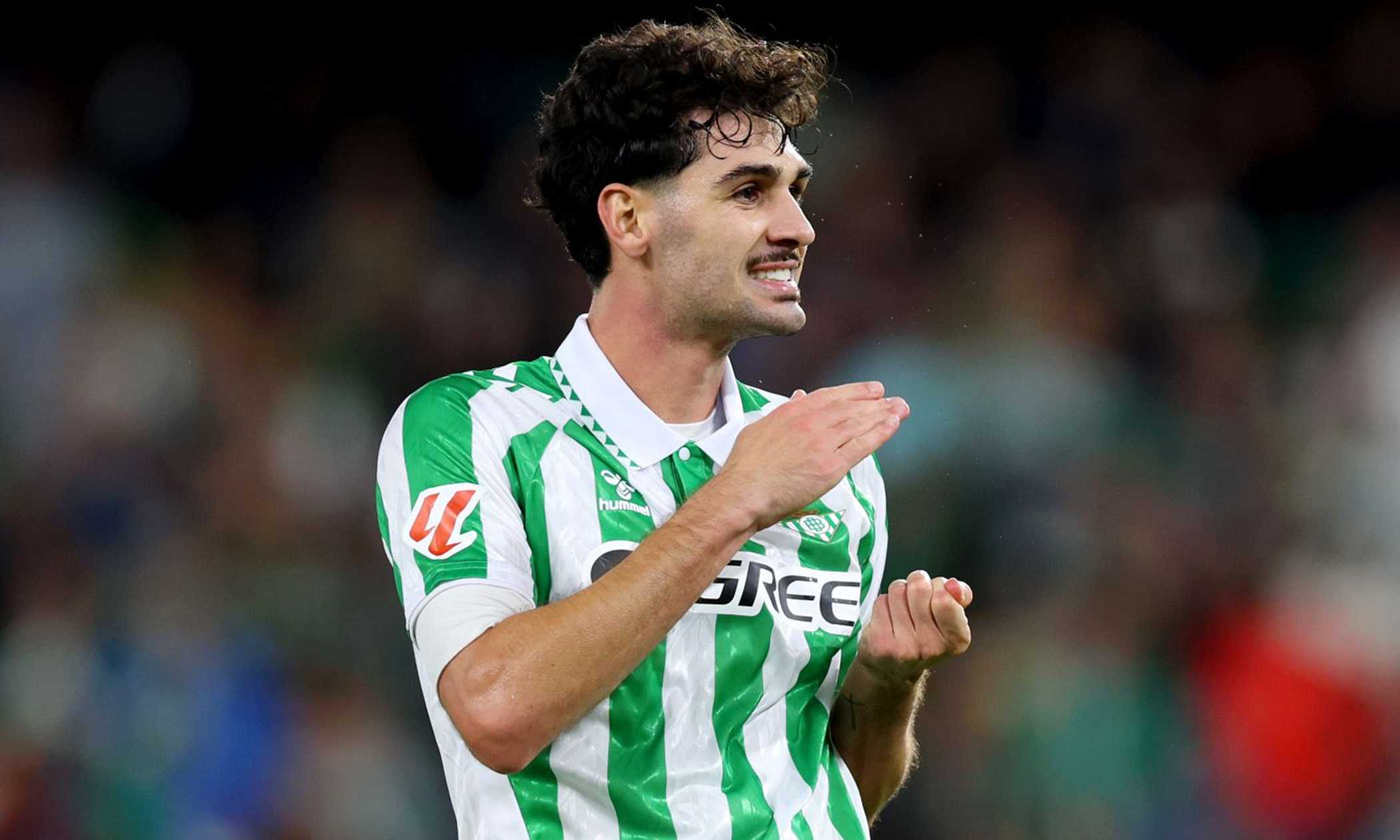 Dalla Spagna - Napoli su Cardoso ma c'è l'Atletico Madrid in pole